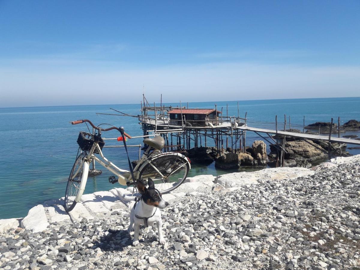 포사세시아 Casa A 20 Metri Dal Mare! 아파트 외부 사진